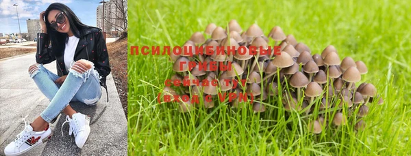 mix Вяземский