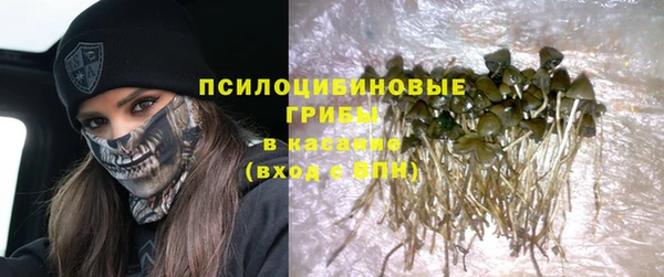 mix Вяземский