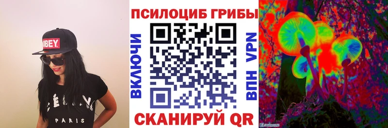 Купить где  Артёмовский  Галлюциногенные грибы GOLDEN TEACHER 